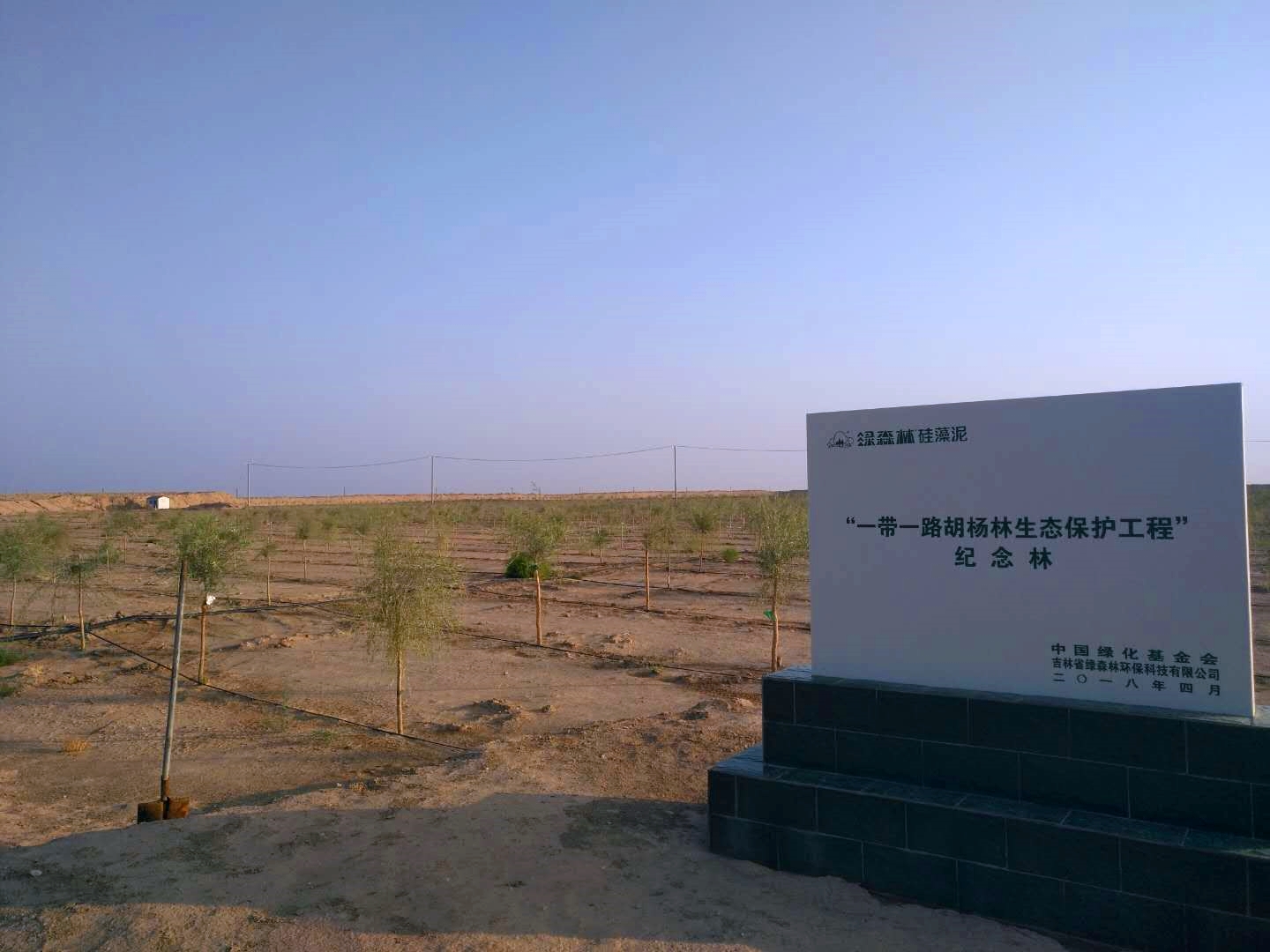 201908-2018 (1)_副本.jpg